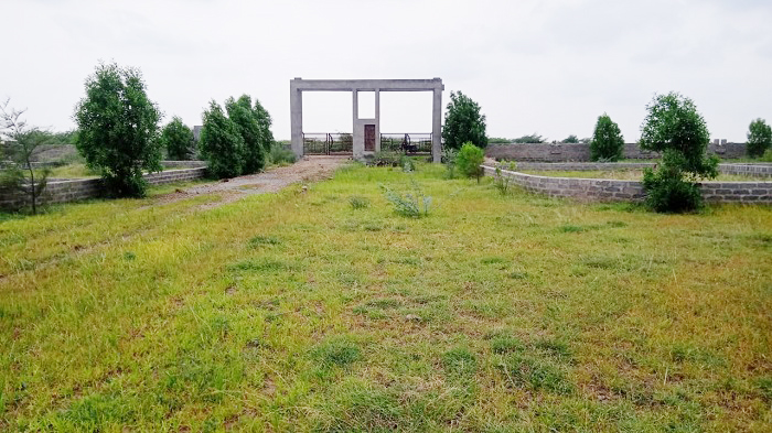 dmc site progress