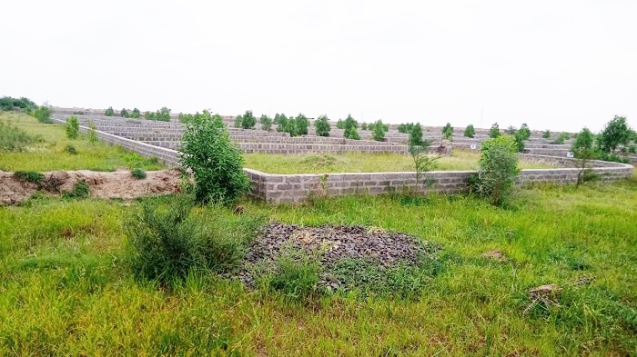 dmc site progress