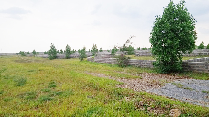 dmc site progress