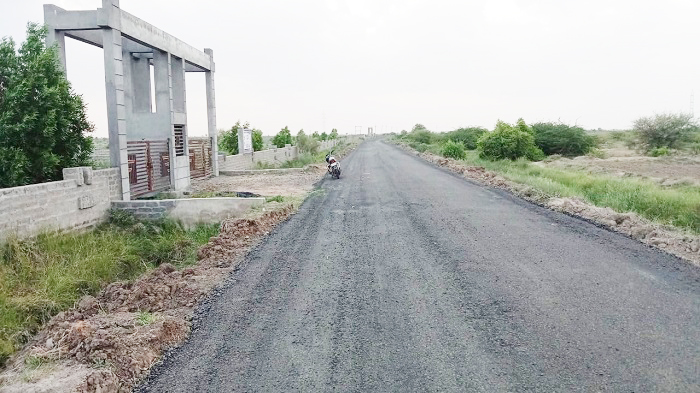 dmc site progress